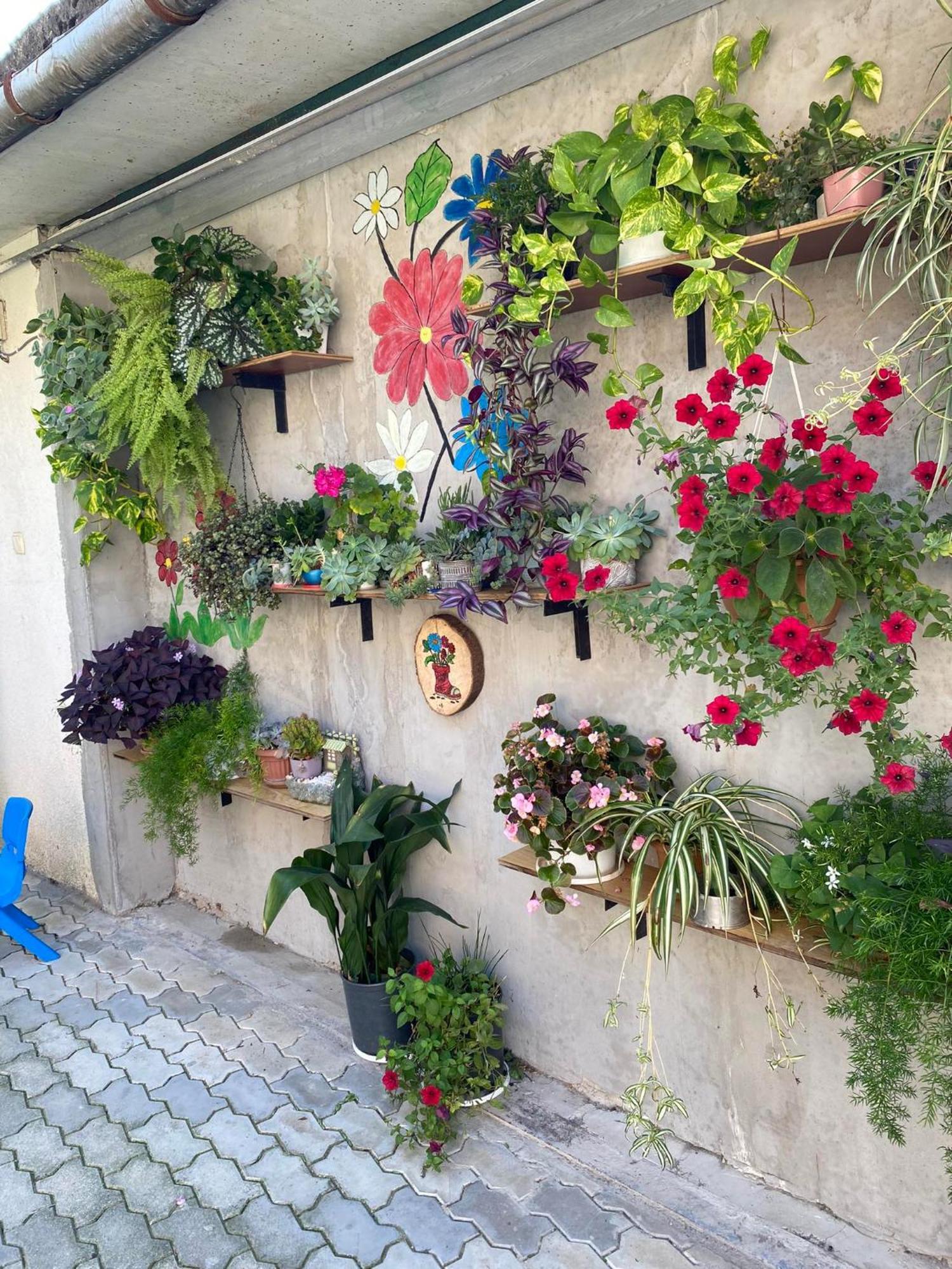 House Of Greenery Kutaisi Luaran gambar