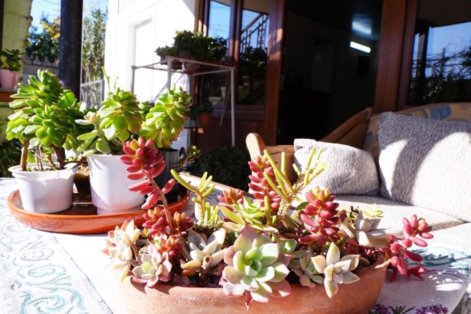 House Of Greenery Kutaisi Luaran gambar